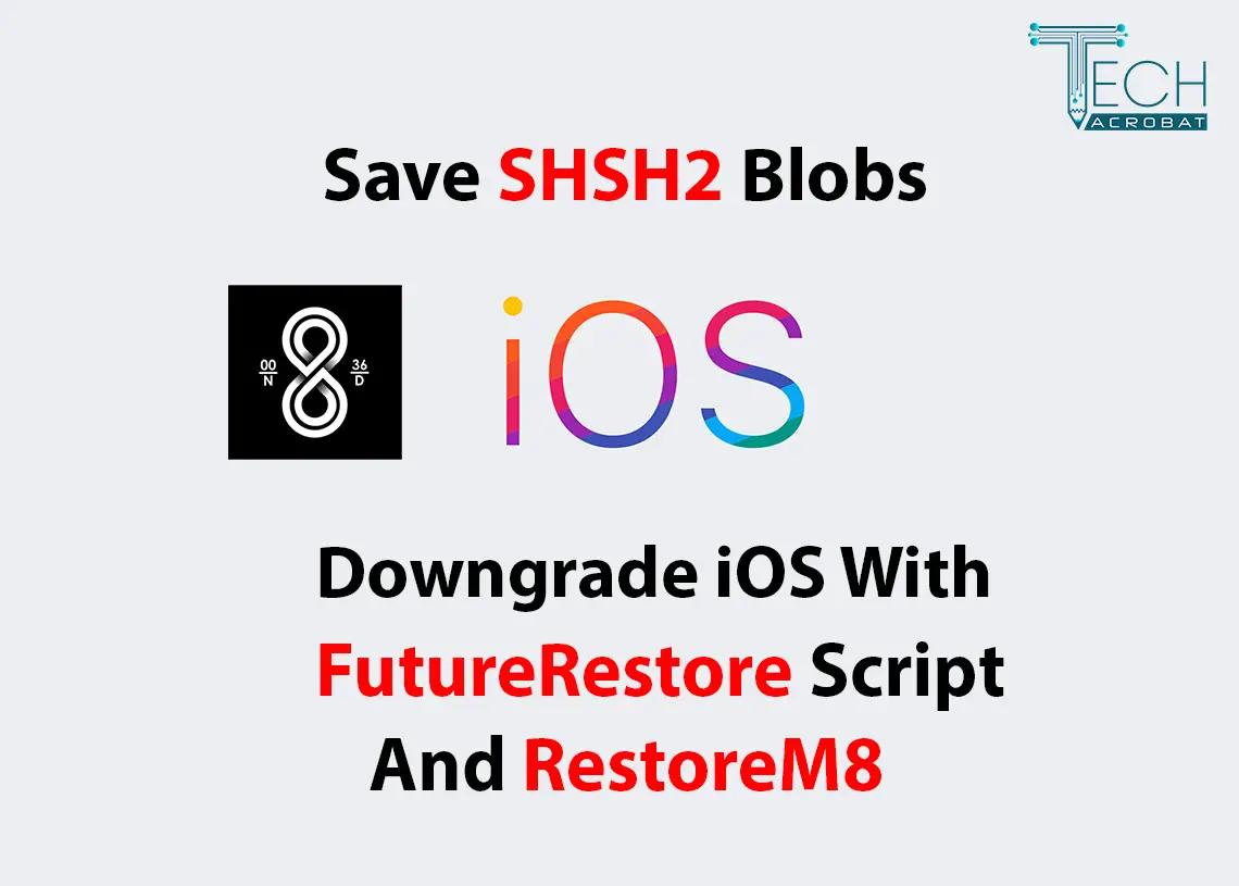 How To Save Shsh Shsh2 Blobs Ios 13 5 For Ios Downgrades 2020