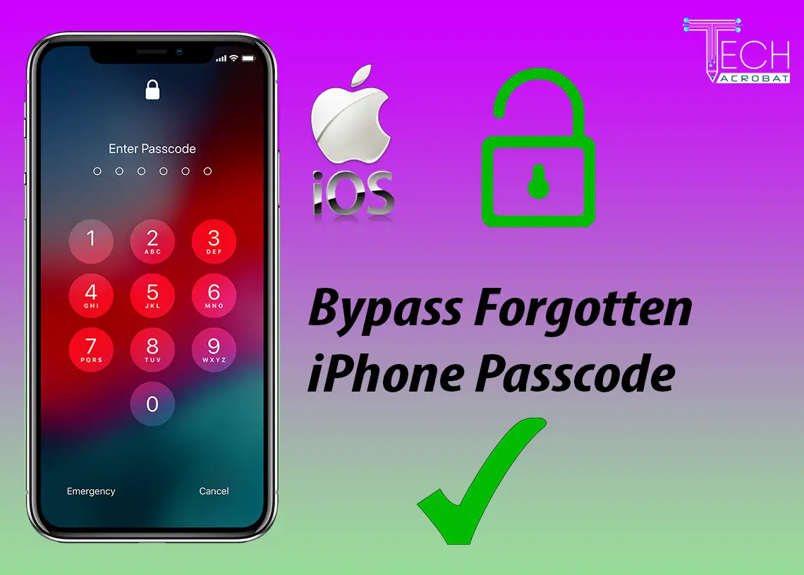 forgot iphone passcode reset