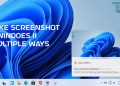 how to take a screenshot on windows 11