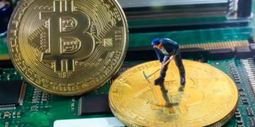 Russia intends to prohibit the trading and mining of cryptocurrencies