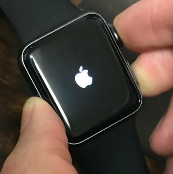 why is my apple watch stuck on the apple logo