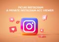 picuki private instagram anonymously viewer