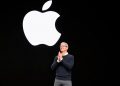The four qualities Apple looks for in potential workers are disclosed by CEO Tim Cook