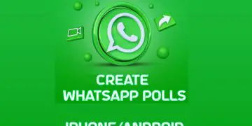 whatsapp polls