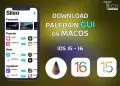 download palera1n jailbreak GUI loader ios 15 16
