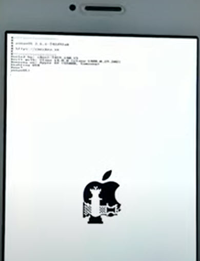 fix palera1n palen1x windows pongo os stuck screen