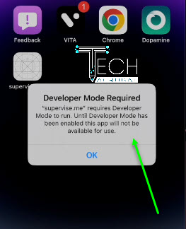 sideloadly installed apps developer mode required error