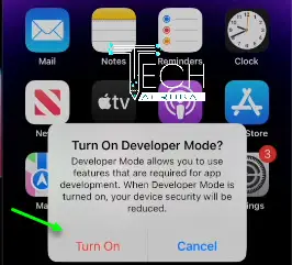 turn on developer mode ios 17